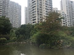 -新湖明珠城