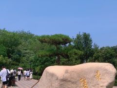 -洛阳古墓博物馆