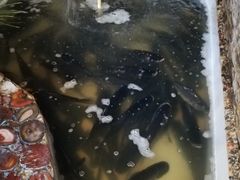 -迎宾大酒店(东北大马路店)