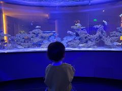 -上和臻品中国菜(花园街店)