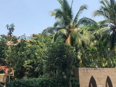 -三亚湾海居铂尔曼度假酒店