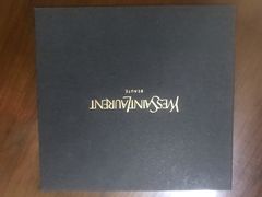 -SAINT LAURENT(海港城店)