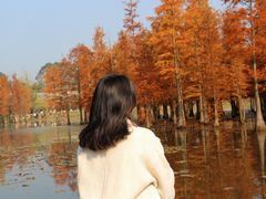 -白鹭湾湿地公园