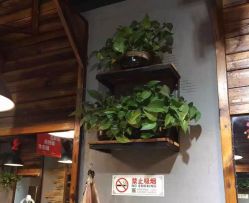 -MX 造型