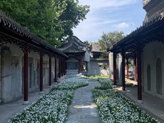 -花洲书院