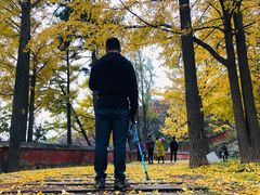 -阳台山自然风景区