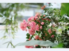 -行人小筑·茶馆(岑村火炉山分店)