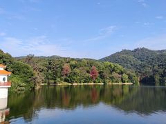 -广州市白云山风景名胜区