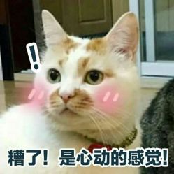 -米小兔美甲美睫