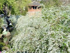 -中国茶叶博物馆(双峰馆区)
