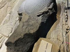 -白鹤梁水下博物馆
