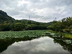-八卦田遗址公园