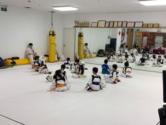 -极真空手道疾风道场(虹口凉城店)