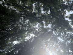 -阳澄湖半岛旅游度假区