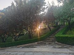 -团结湖公园