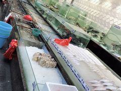 -新海利海鲜城·41年珠海老字号(夏湾店)
