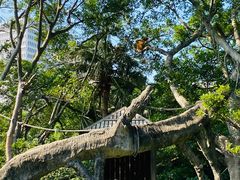 -深圳野生动物园