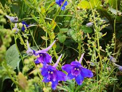 -白草畔自然风景区