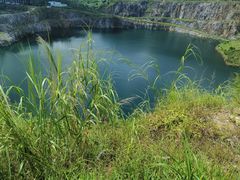 -黄埔油麻山森林公园