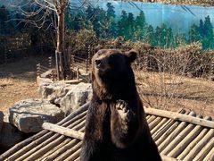 -济南野生动物世界