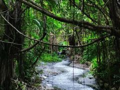 -燕晗山郊野公园