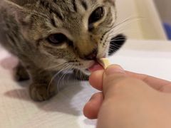 -宠爱国际维尼动物医院·疑难骨科·神经外科·肿瘤科(丰潭路店)