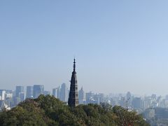 -新白鹿餐厅(龙游路总店·杭帮菜名店)