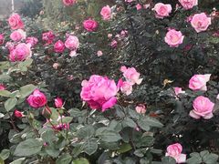 -人民公园(罗湖区)