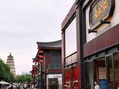 -德发长·花式蒸饺(大唐不夜城店)