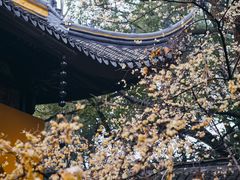 -西园戒幢律寺