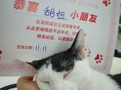 -御宝贝24h宠物医院·转诊中心·CT核磁血透中心(厦门总院)