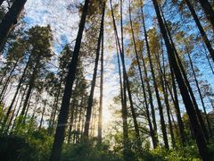 -柳莺湖上·湖景餐厅·江南菜(西湖店)