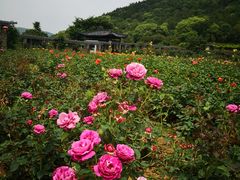 -龙寺生态园