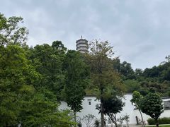 -深圳国际园林花卉博览园