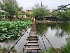 -中国翰园碑林