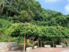 -火炉山森林公园