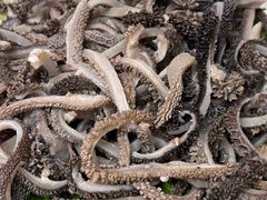 -协顺园回头馆(南顺城路店)