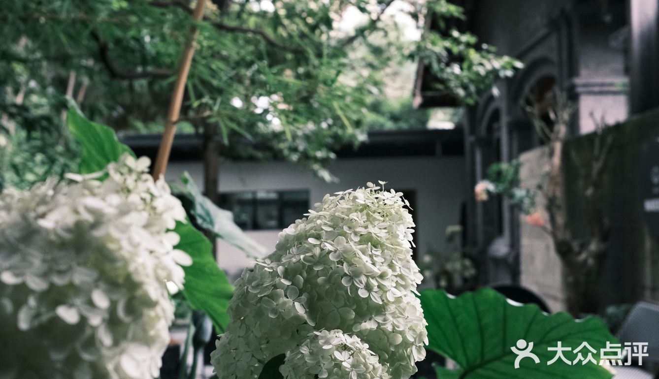 向日葵在成都｜第1⃣️家开在教堂⛪️里的咖啡店☕️