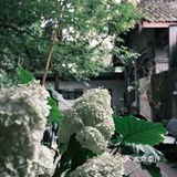 向日葵在成都｜第1⃣️家开在教堂⛪️里的咖啡店☕️