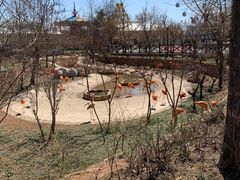 -大连森林动物园