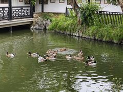-中山詹园