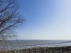 -上海吴淞炮台湾国家湿地公园