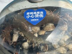 -大锅强·蒸海鲜青岛菜(金沙滩店)