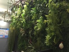 -南京夫子庙国际青年旅舍(平江府路店)