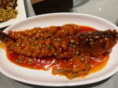 -一轩饺子馆(丽都店)