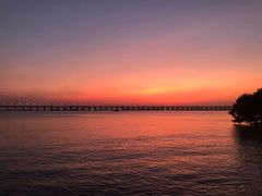 -宝安西湾红树林湿地公园