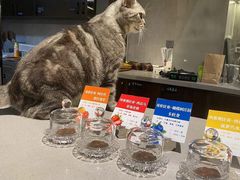 -25#COFFEE(古地石店)