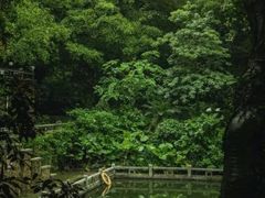-广州市白云山风景名胜区