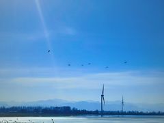 -野鸭湖国家湿地公园