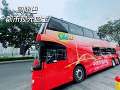 -广州都市观光巴士(粤陶巴)